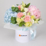 Композиция из гортензии в коробке «Пастель»